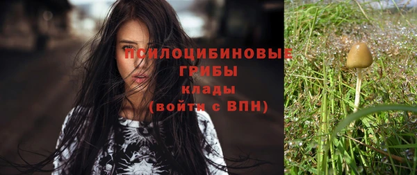 прущий лед Аркадак