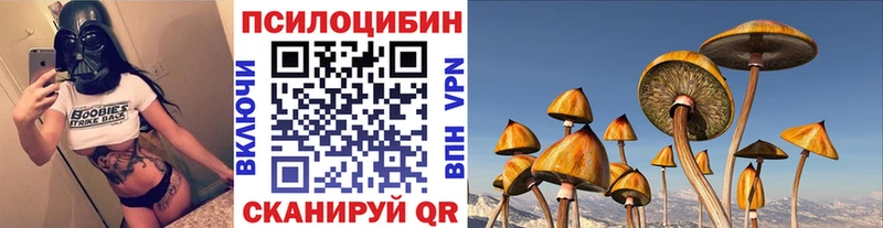 hydra ссылка Саров Галлюциногенные грибы ЛСД сколько стоит
